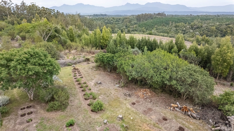 Commercial Property for Sale in Sedgefield Rural Western Cape